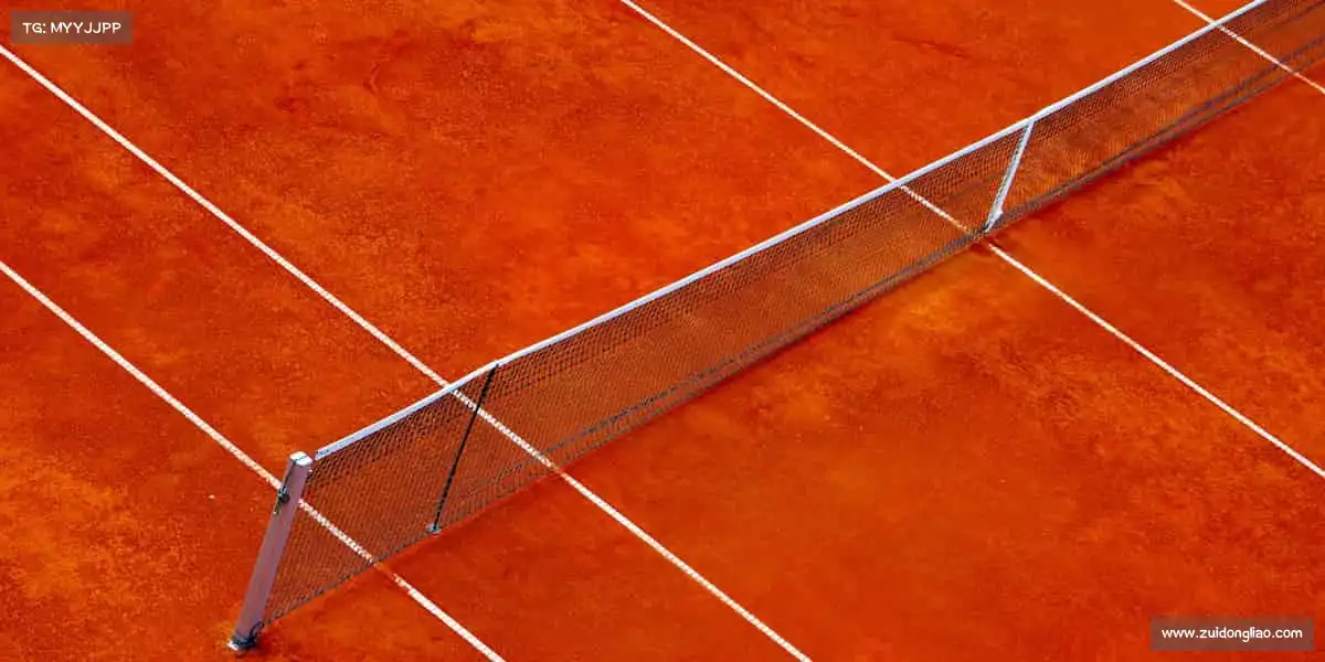 为什么选择我们